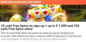 LeoVegas Casino welcome bonus